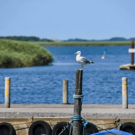 Hébergement de vacances C11068-hemmet-vibevaenget-11 *